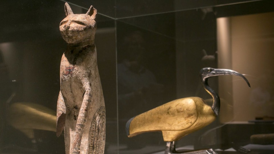 V Egyptě brali pohřbívání zvířat velmi vážně